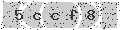 verify code