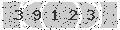 verify code