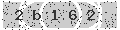 verify code