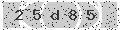 verify code