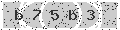 verify code