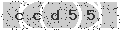 verify code