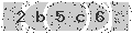 verify code