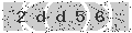 verify code