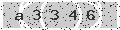verify code
