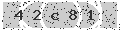 verify code