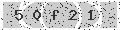 verify code