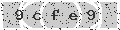 verify code