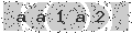 verify code