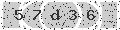 verify code