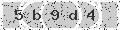 verify code