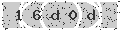 verify code