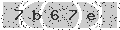verify code