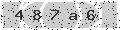 verify code