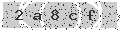verify code