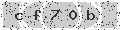 verify code