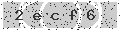verify code