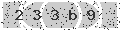 verify code
