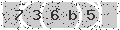 verify code