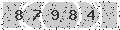 verify code