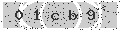 verify code