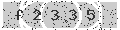verify code