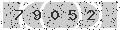 verify code
