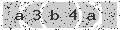 verify code