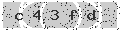 verify code