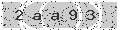 verify code