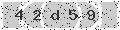 verify code