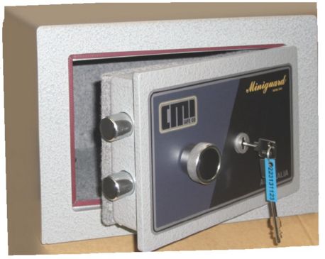 CMI Mini Guard 2K