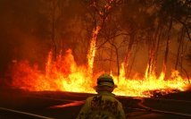 Supporting those affected by the devastating bush fires