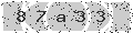 verify code