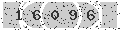 verify code